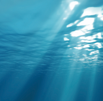 事業開発・地域創生