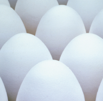 CRM・グロース支援