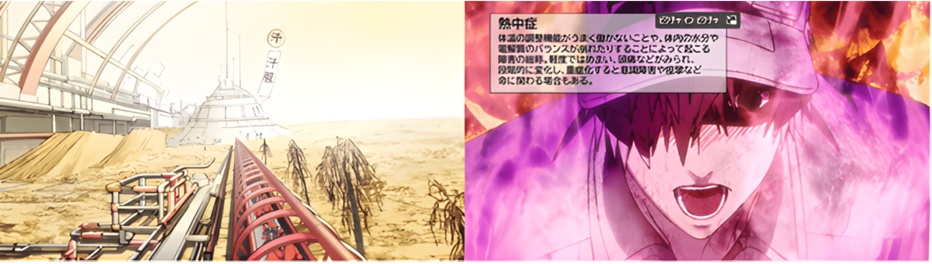 干上がった表皮付近と、熱中症に陥った体内世界