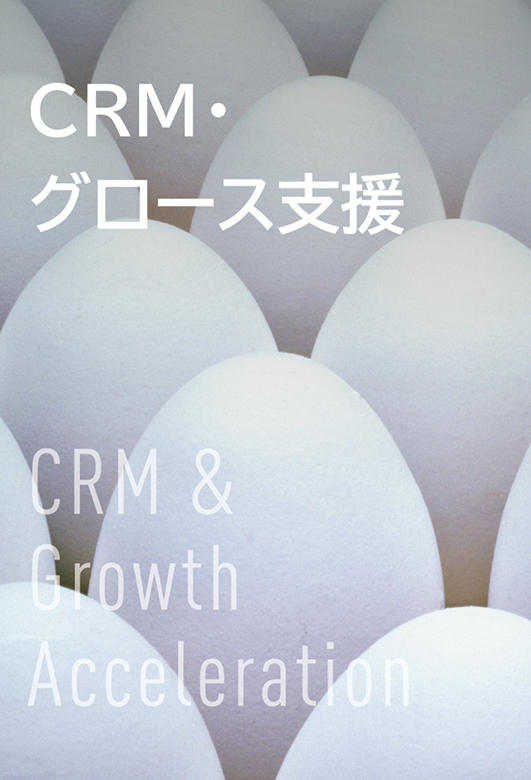 CRM・グロース支援