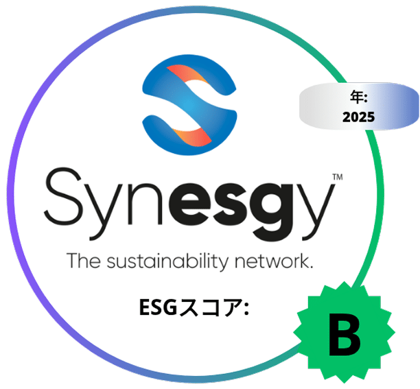 Synesgy B評価を取得