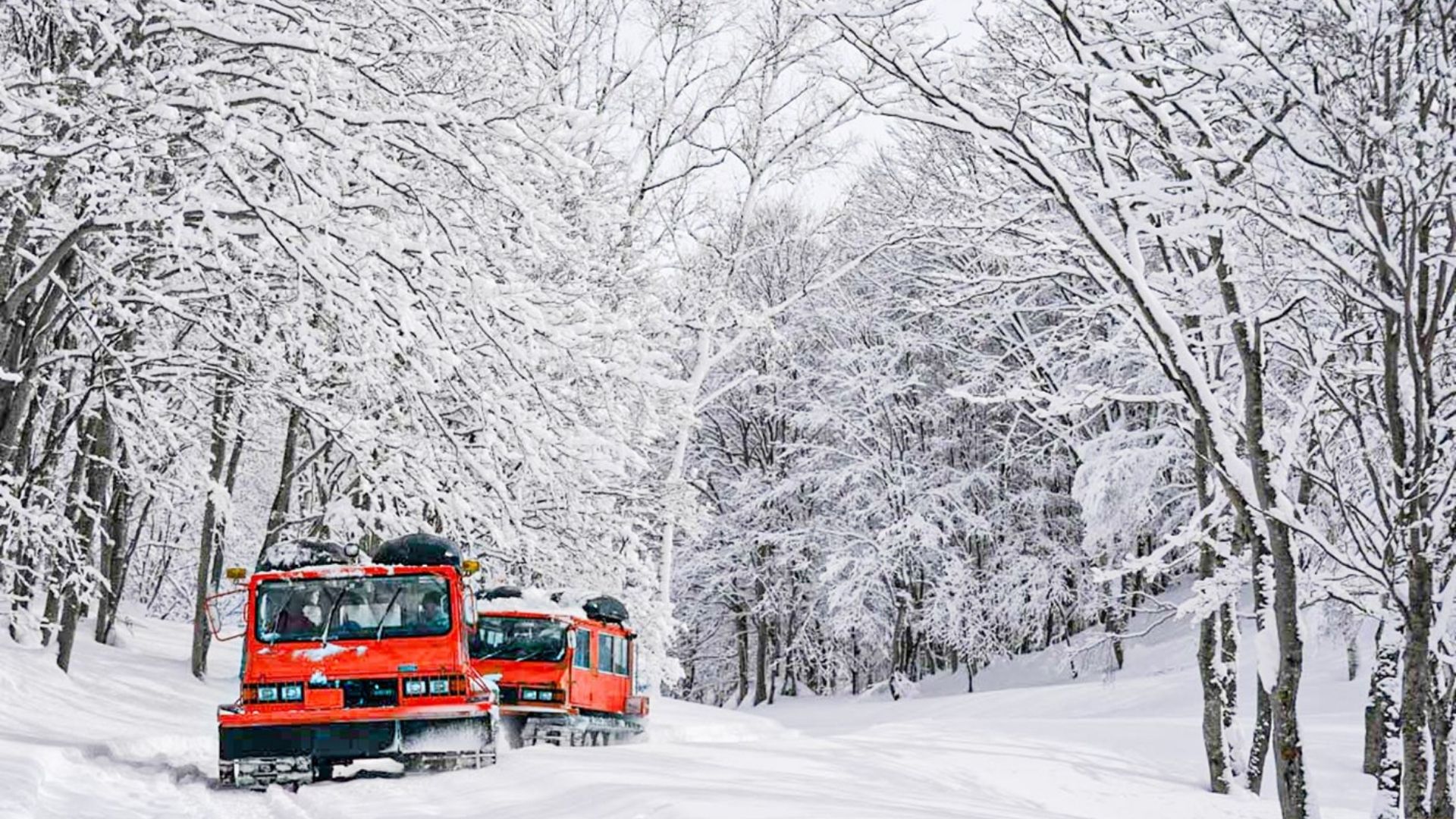あえて新潟県大原製鉄所のクラシックな雪上車を整備して、サステナブルなキャットツアー事業を創出