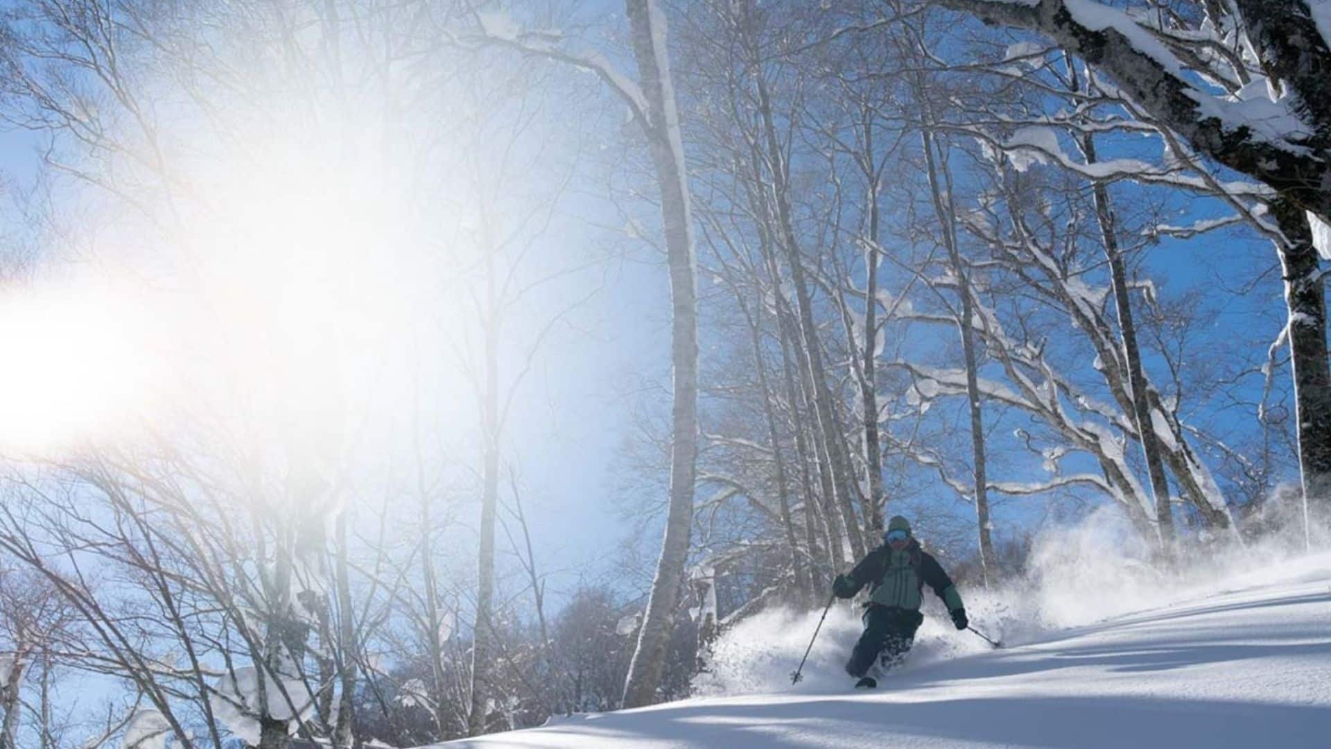 笹ヶ峰高原エリア本格的なバックカントリーキャットツアー。厳冬期に通常アクセスできない奥深い山域に入り込んでプライベートに滑れるのが魅力