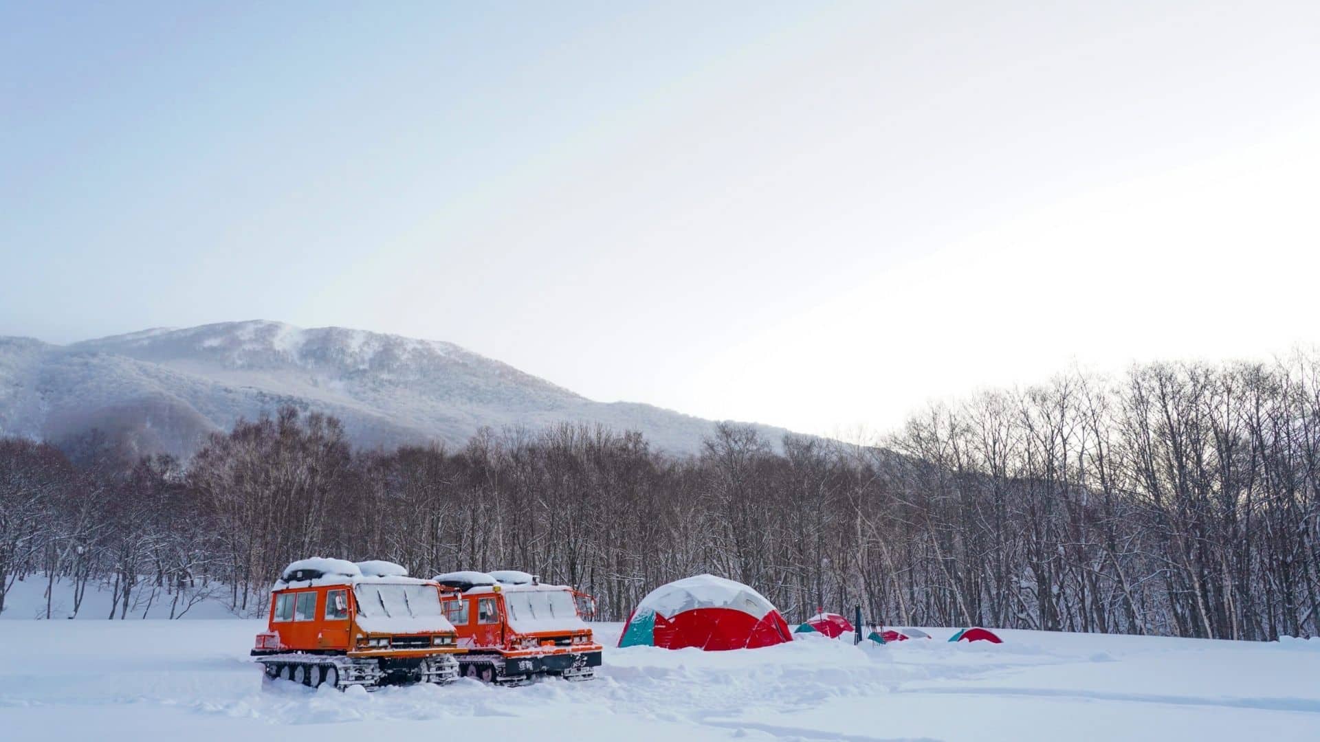 広大な笹ヶ峰エリアに大型ドームテントで滞在する「笹ヶ峰スノーキャンプツアー」