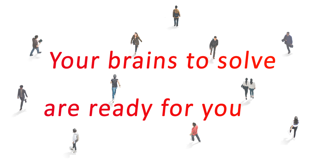 Your brains to solve are ready for you