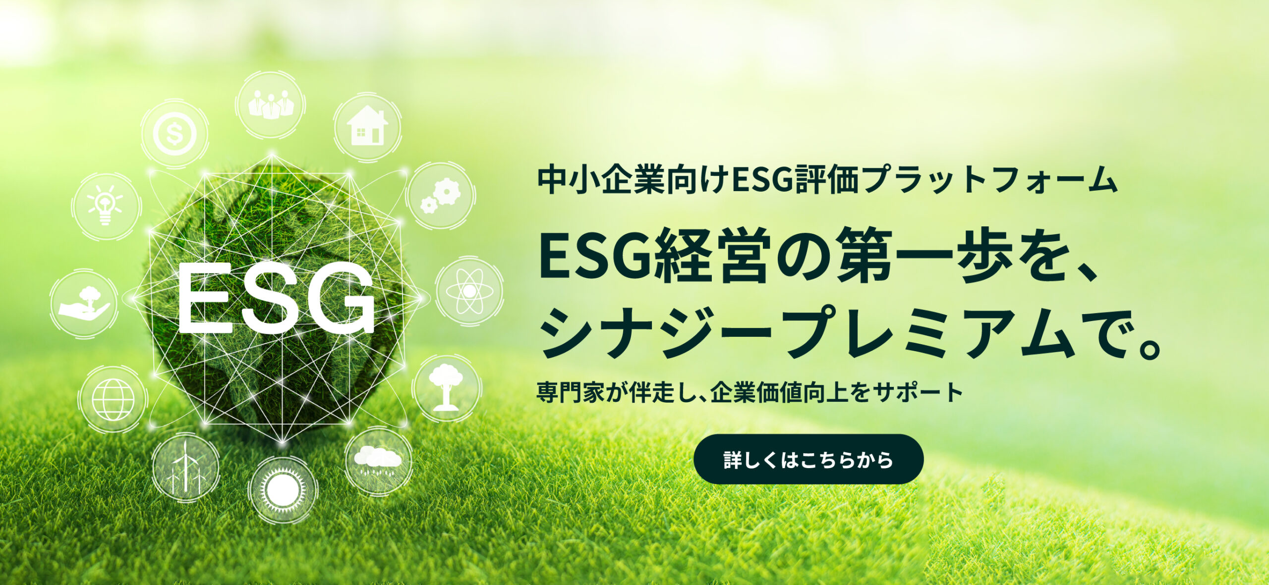>中小企業向けESG評価プラットフォーム「Synesgy Premium」